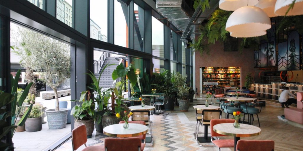 Bondi Green Paddington